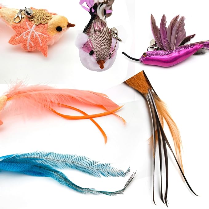 miwoowim Interactive Cat Toys for Indoor Cats - 35'' Steel Wire and 6PCS Feather Bird Refills,Teaser Toy,Cat Wand Toy,Feathers & Bells, Realistic Bird Impression (7 PCS)