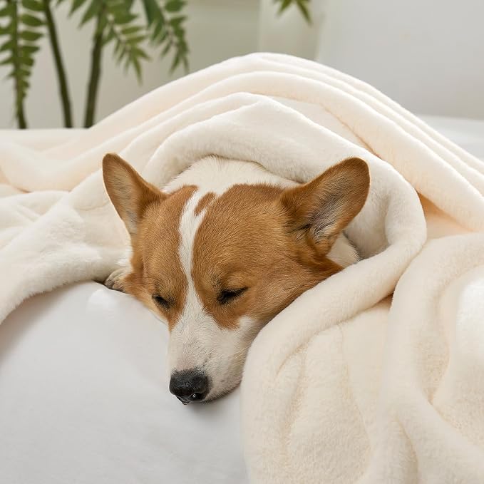 COZY KISS Waterproof Pet Blanket, Ultra Soft Luxury Faux Fur Throw Blanket for Couch, Cozy Warm Plush Blanket for Sofa Bedroom Living Room, Liquid Pee Proof for Large Dog or Cat, 40x60 inch, Cream