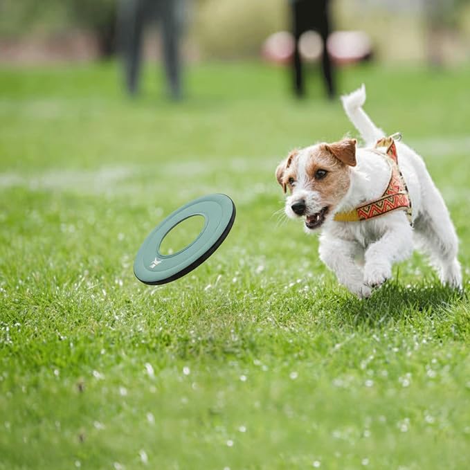 OllyDog Mini Super Flyer, Dog Flying Disc – Floating Fetch Toy, Soft on Teeth, Eco-Friendly Recycled Material, Lightweight, for Small & Medium Dogs (Surf, 9")
