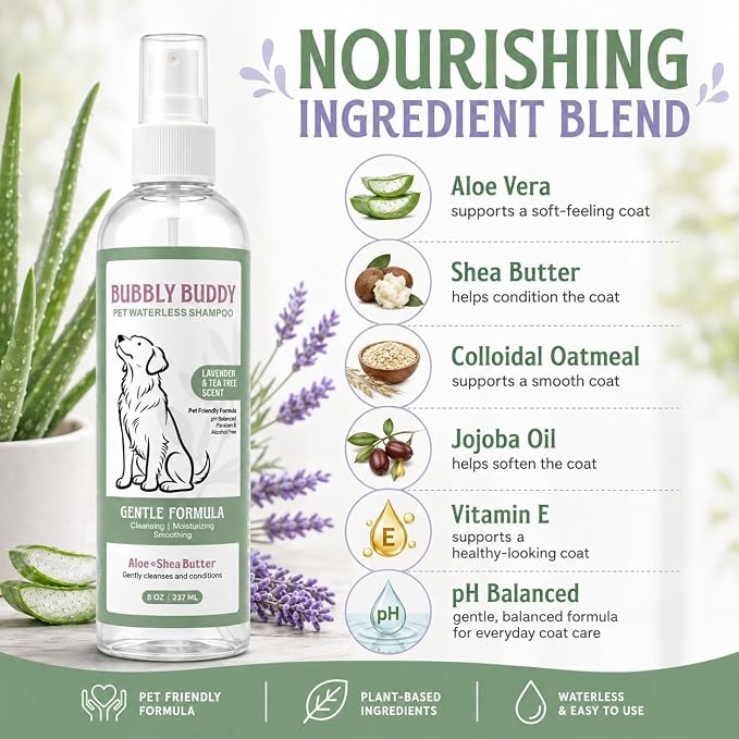 Pet Waterless Shampoo for Dogs, No-Rinse Dog Shampoo Spray with Aloe, Shea Butter, Colloidal Oatmeal, Jojoba Oil, Vitamin E & Tea Tree Oil, pH Balanced, Lavender & Tea Tree Scent, 8 fl oz