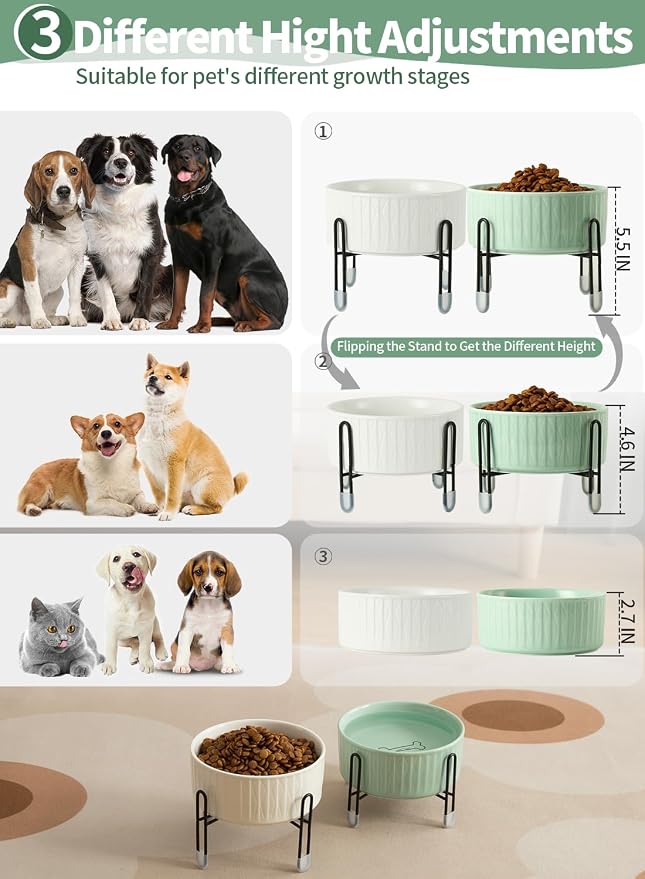 32 OZ Ceramic Dog Bowls with Metal Stand, 6.5 Inch Pet Food Water Bowl Set | Raised Pet Food Water Dish, 2 Heights, for Cats & Dogs, Prevent Neck Fatigue, White & Green