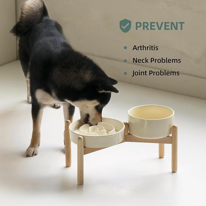 Havniva 7.3” Raised Slow Feeder Dog Bowls Set, 1.2 Cups Ceramic Slow Feeder Dog Bowl and 6.1” Dog Water Bowl with Elevated Wooden Stand Puzzle Dog Food Bowl for Small Dogs Anti-Gulping & Anti-Choking