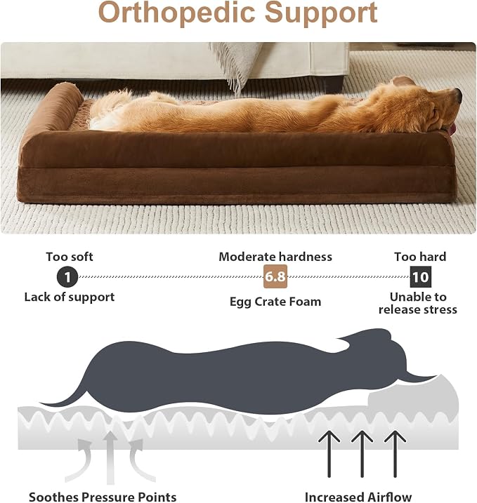 BFPETHOME Orthopedic Washable Large Dog Bed for Senior Dog Comfy Sleep | Waterproof Big Soft Pet Couch Bed for Dogs Relax with Removable Cover Supportive Egg Crate Foam Brown 36x27 Inch