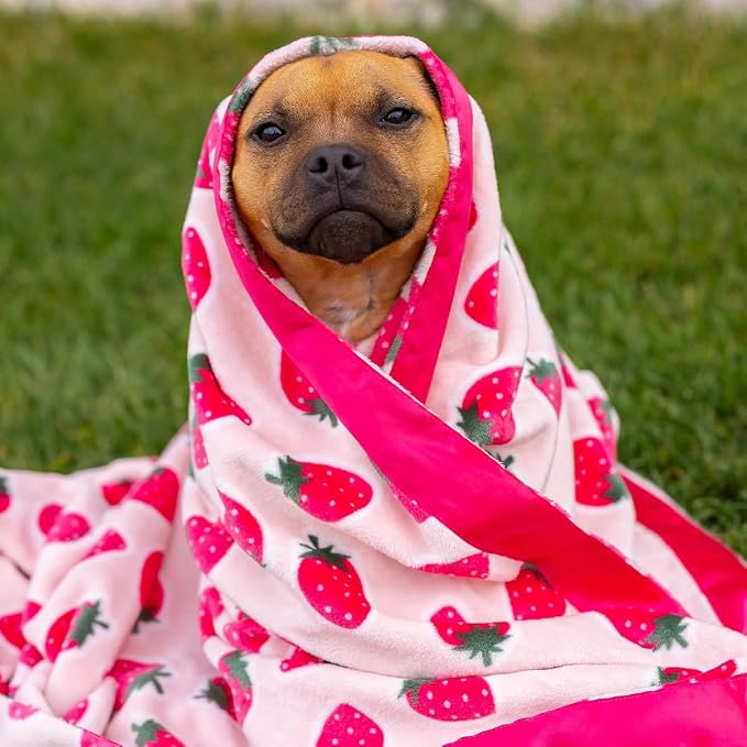 Darren & Phillip Cutie Frutti Strawberry Blanket - Ultra-Soft Blankets Made with Plush Fleece - Perfect as a Dog Bed Blanket or for Cuddling with Your Pup - Ultra-Snuggly Blankets for Dogs & Humans
