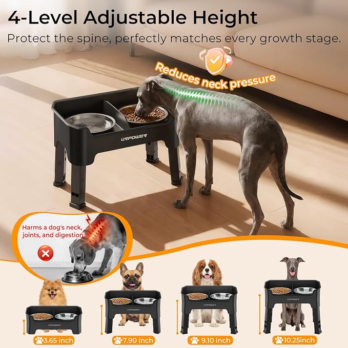 URPOWER Mess Proof Elevated Dog Bowls, High Wall Splash Guard Design, 4 Height Adjustable Raised Bowl Stand, 2 Stainless Steel Bowls, Non-Slip Food Water Set for Small Dogs