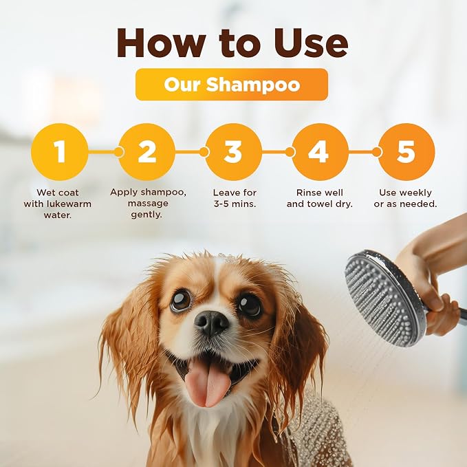 Pawfect Honey & Oatmeal Pet Shampoo, Grooming Shampoo for Dogs, Cats & Pets | A Canadian Company, Improved Formula with Zinc & Aloe, Moisturizing Shampoo for Sensitive Skin, Dry Skin Comfort, 16.9 Oz