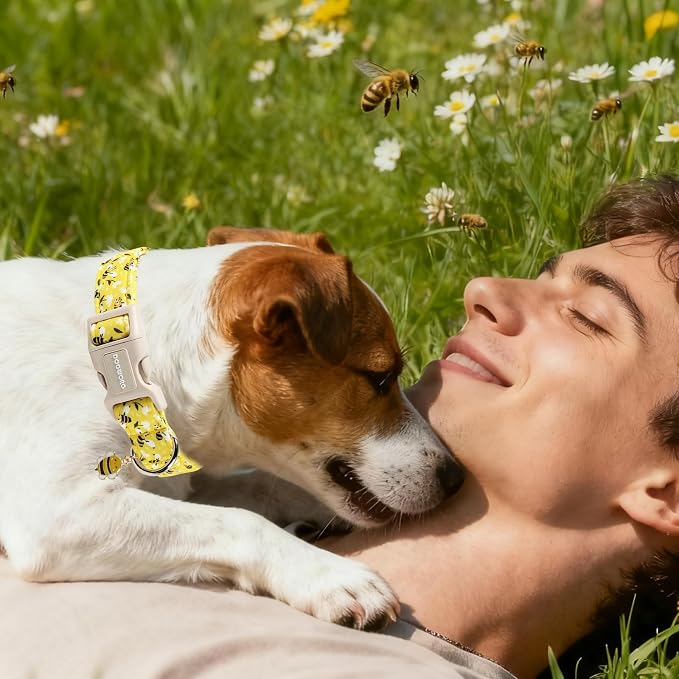 DOGWONG Cute Cotton Dog Collar for Small Medium Large Dogs Cute Yellow Bee Dog Collar for Boy Girl Dogs,L