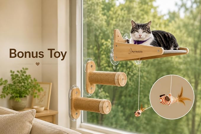 Cat Window Perch for Indoor Cats – 2-in-1 Solid Wood Cat Hammock Window Seat & Wall Mount with 9 Suction Cups, Climbing Steps + Hanging Toy – Supports 40 lbs, Bird Watching & Sunbathing