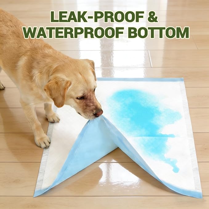 IMMCUTE 100 Count Premium Puppy Pads, 22"x23" Dog Pee Pads – Ultra-Soft Heat-Sealed, 6-Layer Leak-Proof & Super Absorbent Potty Training Pads for Dogs, Cats, Pets | Crate Training & Indoor Use, Blue