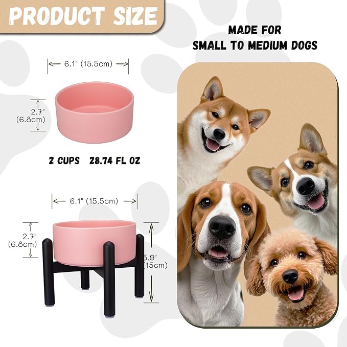 Raised Ceramic Dog Bowl, 6.1'' Modern Feeding Bowl with Non-Slip Stainless Steel Stand, Elevated Food or Water Dish for Small to Medium Dogs, 2 Cups (28.75 fl oz)- Pink