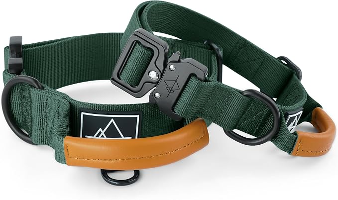 Made to ROAM Premium Explorer Control Collar - Adjustable Heavy Duty Nylon Dog Collar with Quick-Release Metal Buckle and Handle (Maine Marina, Control Size 4)