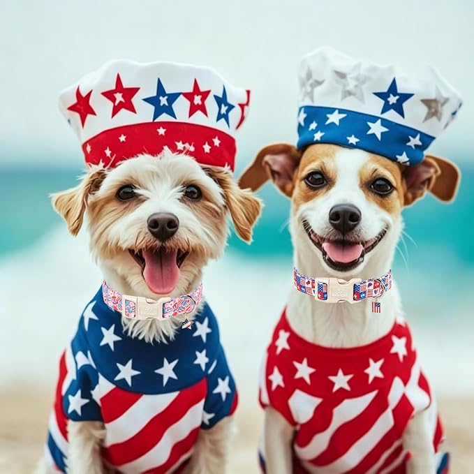 4th of July Dog Collar, Cute Pink Patriotic Dog Collars for Small Dogs - Independence Day Girly Pup Collars, Soft Adjustable Flag Day Female Dog Collar S