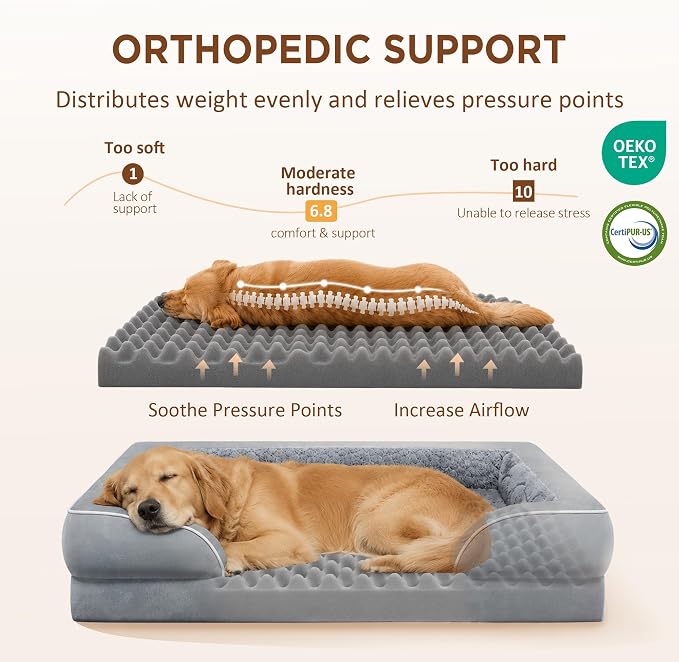 Comfort Expression Orthopedic Dog Bed for Medium Size Dog with Bolster | Waterproof Dog Couch Bed with Washable Cover & Non-Slip Bottom, Supportive Egg Crate Foam Medium Pet Bed, 30x20 Inch