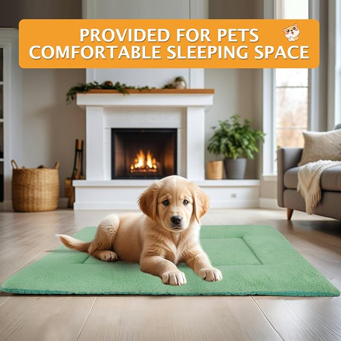 Reversible Dog Bed Mat with Plush and Corn Velvet,Soft Warm Pet Cushion, Dual Purpose Washable Sleeping Mattress Bed for Small Medium Large Dog and Cat XB004 (36"x23", Teal)