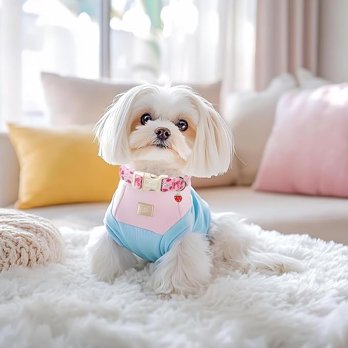 Strawberry Bow Dog Collar for Medium Dogs - Cute Pink Spring/Summer Girl Dog Collars, Lightweight Adjustable Female Girly Dogs Collars with Quick Release Buckle M