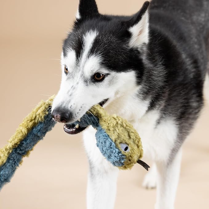 Fringe Studio Don't GET Wrapped UP 3D Earth Friendly Cotton Canvas Dog Toy, PetShop Collection (718009)