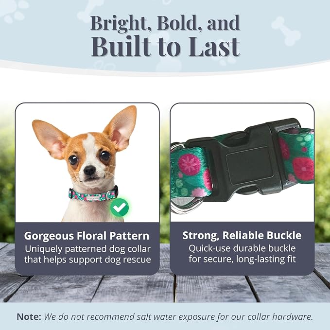 Lucky Love Dog - Adjustable Dog Collar with Easy Click Buckle for Small Dogs, Durable, & Comfortable for Male & Female Dogs, Pet Collar for Puppies & Adult Ones - Penny, XS