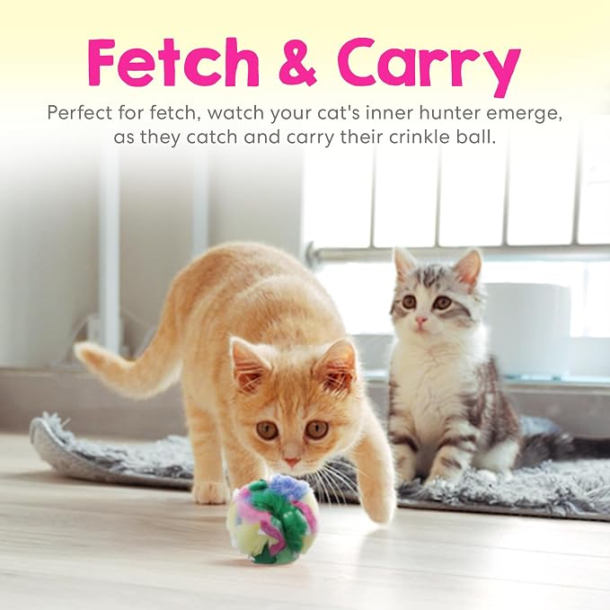 Large Cat Crinkle Balls 2.5 Inch | 24 Pack | Soft Lightweight Indoor Cat Toys with Durable Crinkle Build and Engaging Sound