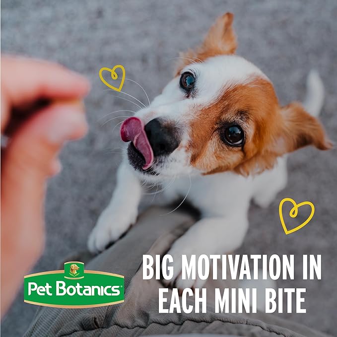 Pet Botanics 10 oz. Pouch Training Rewards Mini Soft & Chewy, Bacon Flavor, with 500 Treats Per Bag, The Choice of Top Trainers | 10 oz Pouch with 500 Treats Per Bag, High-Value Reward for Training, Only 1.5 Calories Per Treat