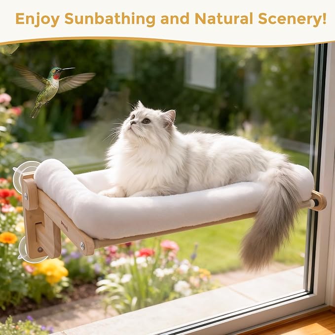 Pecute Foldable Cat Window Perch, Cloud-Soft Cat Bed with Wood Frame, 26" L | Solid Wood, Strong Suction Cup, Washable Cushion, Sided Bolster, Large Cat Hammock Indoor for Sunbathing, Bird Watching