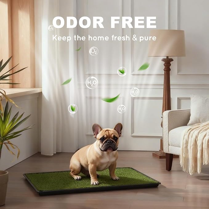 HQ4US 4LEGS Dog Grass Pad with Tray Medium 31”×21”, Dog Litter Box with Odor Free Artificial Grass Pee Pads for Dogs Potty Tray with Hemmed Edge, Realistic for Indoor Balcony