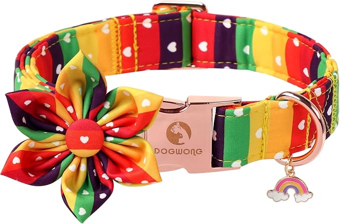 DOGWONG Rainbow Dog Collar with Flower for LGBT Pride Month - Adjustable and Comfortable LGBT Pride Dog Collar for Large Medium Small Pet