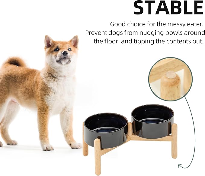 Havniva 6.1inch Ceramic Raised Dog Bowl with Stand, Double Dog Bowls Elevated for Small and Medium Breed Dog Food and Water Bowl Set Non-Slip Dog Dish Large Capacity Feeding Pet Water Bowl
