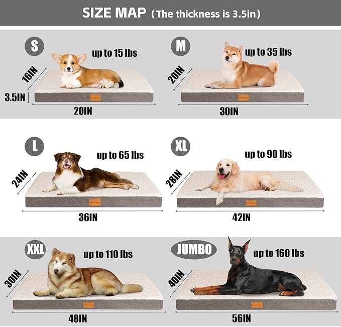 Patas Lague Orthopedic Large Dog Bed Washable Pet Sofa Mat 56''X40'' Ivory | Egg-Crate Foam Dog Couch For Large Sized Dogs, Waterproof Removable Cover, Soft Pet Crate Bed With Nonskid Bottom