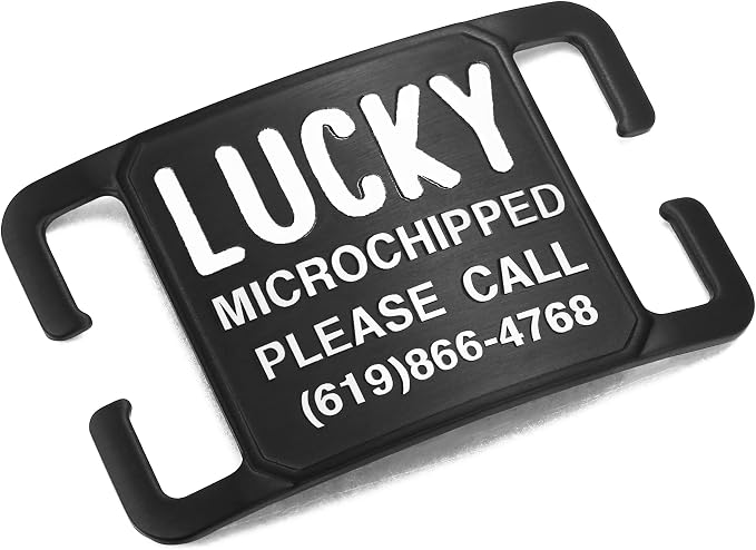 Rugged & Refined: Immovable Slide-On Pet ID Tag - Silent No-Noise Design - Deep Laser Engraved Horology-Grade Steel - Large | PVD Black