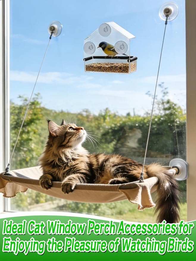 MEWTOGO Outdoor Window Bird Feeder for Cats Viewing, Small | Clear Bird Feeder with Strong Suction Cup, Cat Perch Accessories for Entertaining Watching