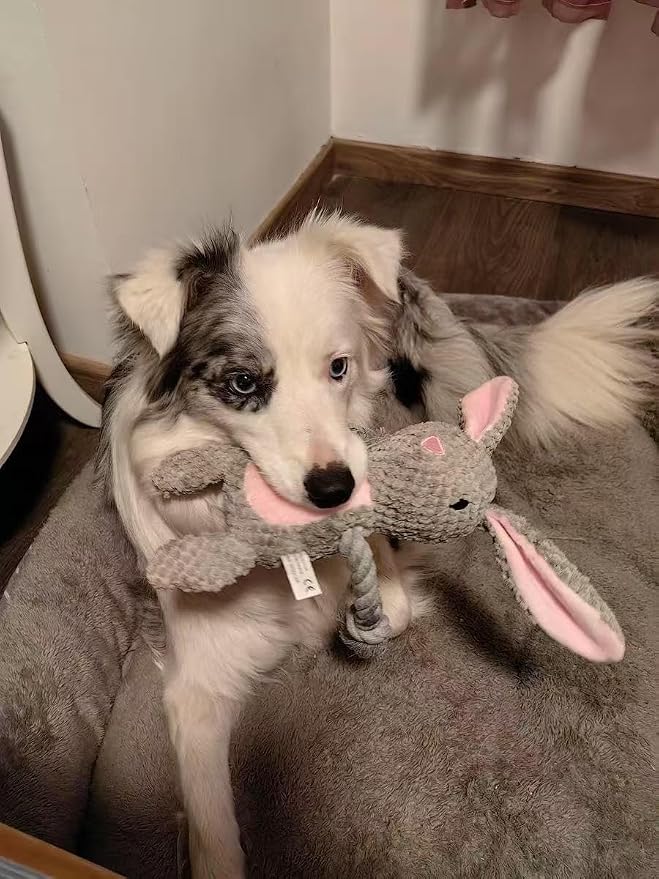 Bunny Dog Toy with Rope Arms – Squeaky Plush Rabbit for Small & Medium Dogs, Soft Chew & Tug Toy for Interactive Play, Easter Puppy Toy Gift
