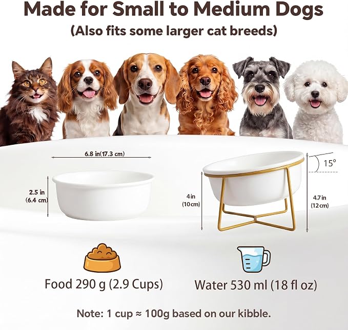 White Large Ceramic Tilted Elevated Cat Dog Bowl Raised Cat Food Water Bowl Dish Pet Comfort Feeding Bowls with Gold Iron Stand