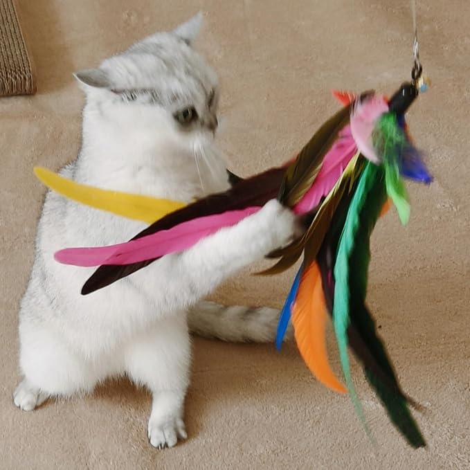 miwoowim Cat Toys Interactive for Indoor Cats, 2PCS Ultra-Long Teaser(50"+38")+9PCS Da Bird Feather Refills, Fishing Pole Toy,Retractable Cat Wand Toy and Feather Toys Refills Attachment Replacement