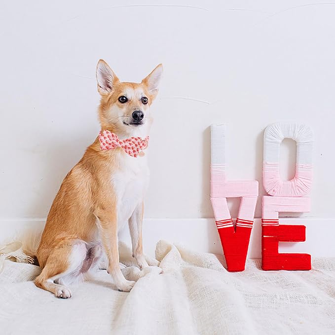DOGWONG Valentine's Dog Collar with Bow - Cute Heart Bowtie Dog Collars, Adjustable Valentine Red Heart Pet Collars Design Dog Collar with Quick Release Buckle for Puppy Girl Boy Female Dogs