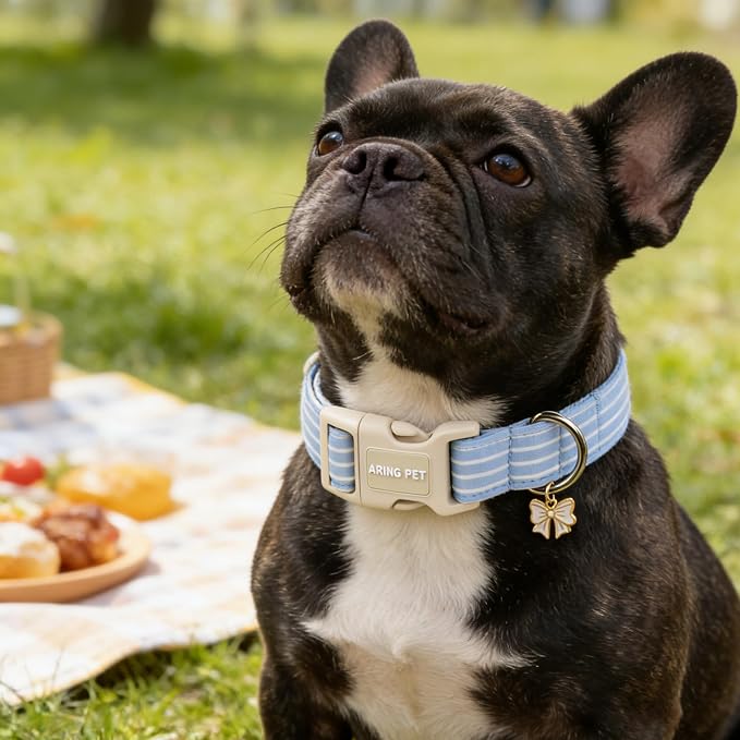 ARING PET Stripe Dog Collar, Cute Spring Summer Blue Stripe Pet Collars with Bow Charm for Puppy Small Medium Large Boy Girl Dogs-M, for Daily Outdoor Walking Training
