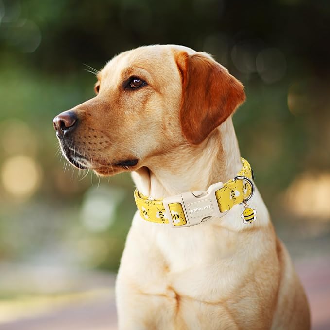 ARING PET Bees Dog Collar, Cute Spring Summer Yellow Bee Pet Collars for Puppy Small Medium Large Boy Girl Dogs-M