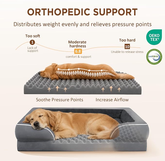Comfort Expression Orthopedic Dog Bed for Medium Size Dog with Bolster | Waterproof Dog Couch Bed with Washable Cover & Non-Slip Bottom, Supportive Egg Crate Foam Medium Pet Bed, 28x19 Inch