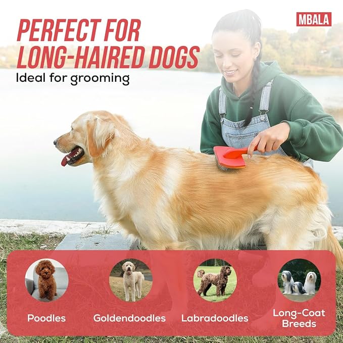 Dog Slicker Brush for Doodles, Goldendoodles & Labradoodles – Extra Long Pin Brush for Dematting & Deshedding – Removes Tangles, Knots & Loose Hair – Wooden Handle for Thick, Curly Coats (Large)