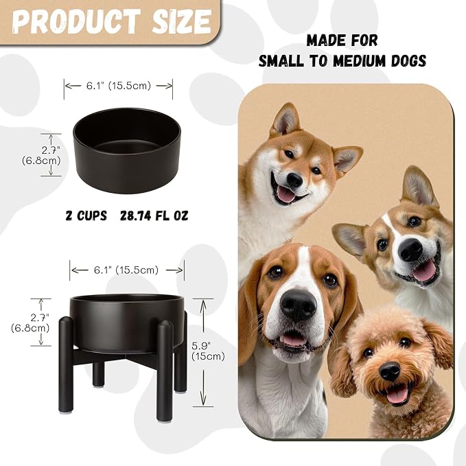 Raised Ceramic Dog Bowl, 6.1'' Modern Feeding Bowl with Non-Slip Stainless Steel Stand, Elevated Food or Water Dish for Small to Medium Dogs, 2 Cups (28.75 fl oz)- Black