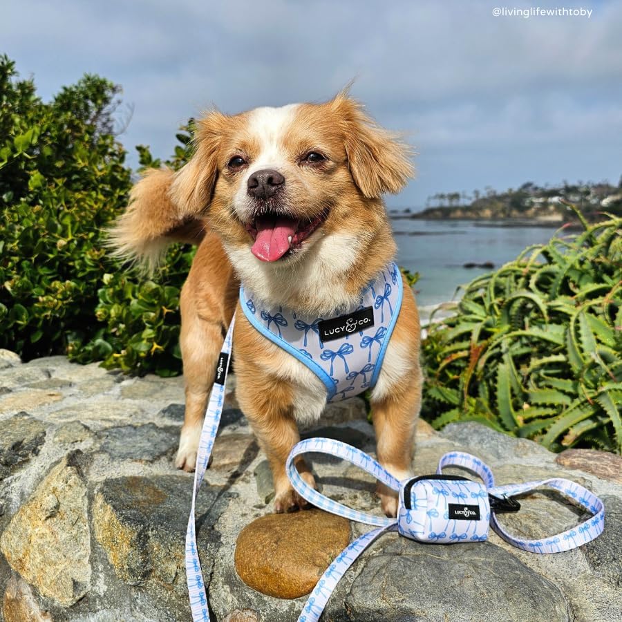Lucy & Co. Bowwow Wow! Dog Poop Bag Holder and Dispenser, Clips to Leash, Water-Repellent Neoprene, Includes Refill Roll
