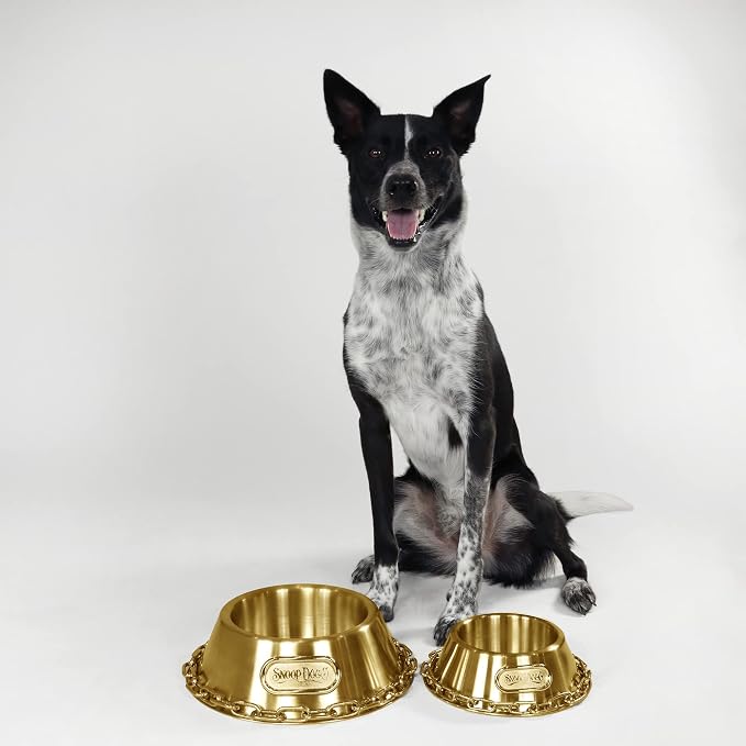 Snoop Doggie Doggs Off The Chain Deluxe Pet Bowl
