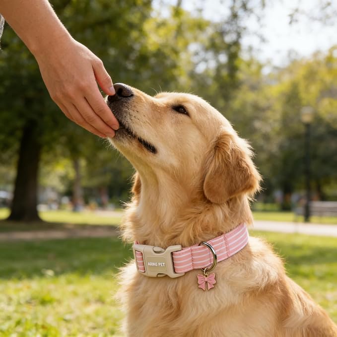 ARING PET Stripe Dog Collar, Cute Spring Summer Pink Stripe Pet Collars with Bow Charm for Puppy Small Medium Large Female Girl Dogs-L, for Daily Outdoor Walking Training