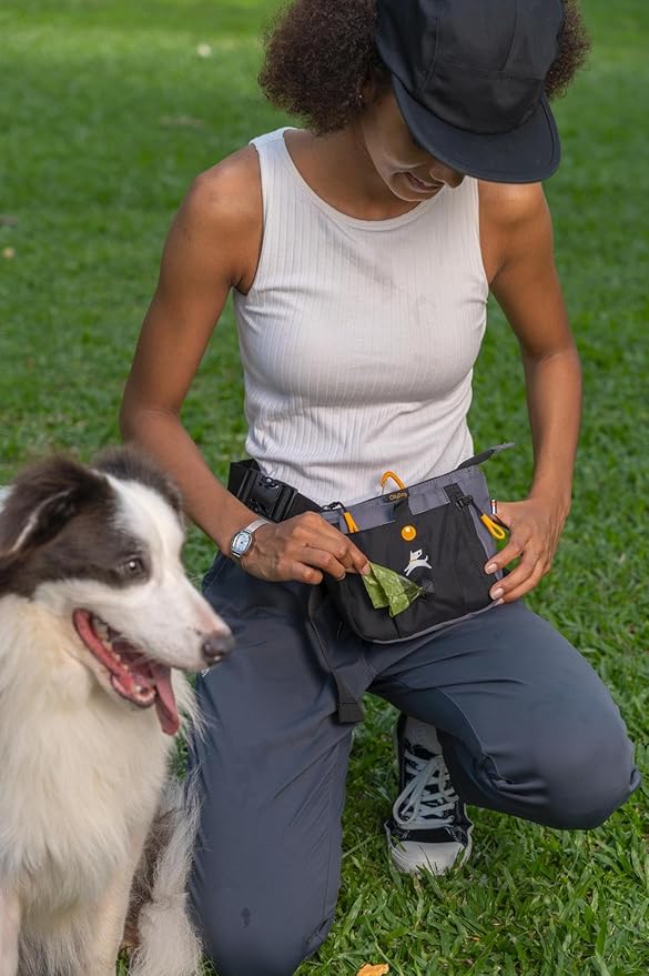 Backcountry Day Bag | Dog Training Treat Pouch | Eco-Friendly Recycled Fabric Fanny Pack with Zipper Closure, Built-in Poop Bag Dispenser & Adjustable Waist Belt (Castle Rock)