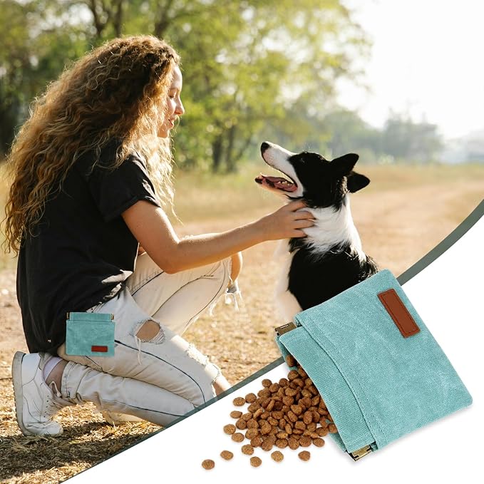 1 Pcs Pocket Pet Training Pouch,Dog Treat Pouch (Cyan) | For Portable Pet Dog Walking Bag, Travel or Outdoor Use