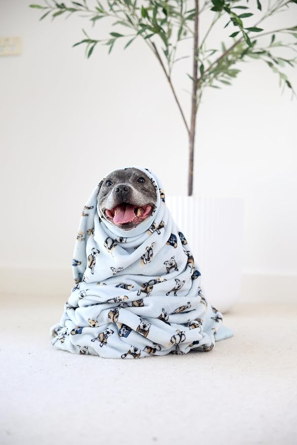 Darren & Phillip Preppy Pups Blanket - Ultra-Soft Blankets Made with Plush Fleece - Perfect as a Dog Bed Blanket or for Cuddling with Your Pup - Ultra-Snuggly Blankets for Dogs & Humans