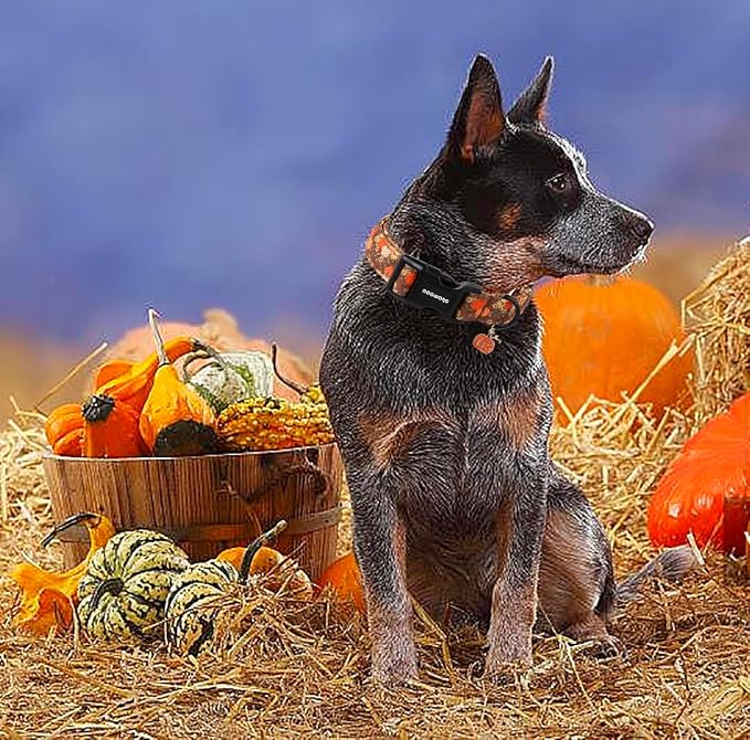 DOGWONG Fall Pumpkin Dog Collar- Design Fall Holiday Dog Collars Adjustable Halloween Pumpkin Sunflower Dog Collar for Small Medium Large Dogs XS