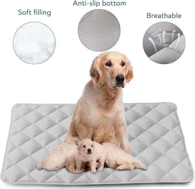 Dog Crate Pad 2 Pack (42" x 28"), Dog Crate Mat with Anti-Slip Bottom, Grey | Fits 42 Inch Crate, Soft, Machine Washable, Kennel Pad
