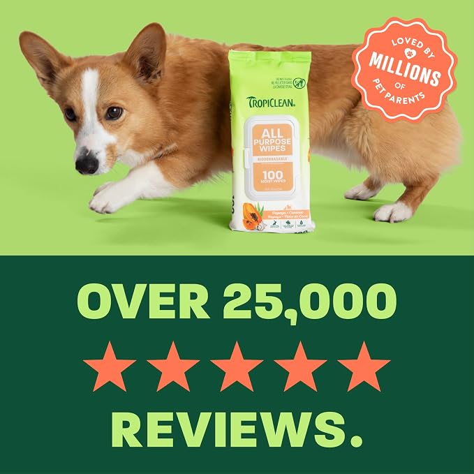 TropiClean Papaya & Coconut Dog Wipes for Paws and Bottom | Deep Cleaning Dog Grooming Wipes | Safe for The Face | Cat Friendly | 400 Count
