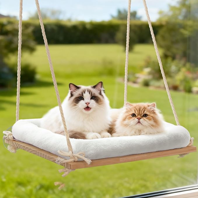 Large Cat Window Perch Hammock, Solid Wood Seat & Plush Cushion | 4 heavy-duty suction cups, sturdy wooden perch for XL & large cats, comfortable indoor window cat bed & hammock