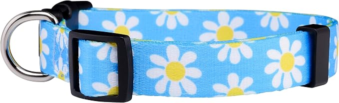 Native Pup Flower Dog Collar, Adjustable Small Medium Large, Cute Girl Female Summer Spring Pretty Designer Puppy Essentials Accessories, Pink Floral Blue Daisy Rose (Small, Blue Daisy)